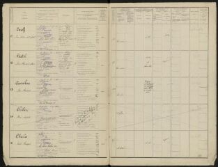 Liste de recensement des classes – 1917