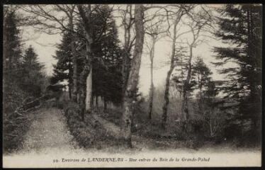 La Forêt-Landerneau. - Entrée du bois de la Grande Palud