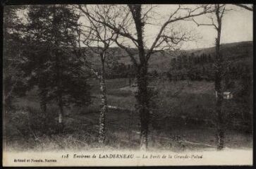 La Forêt-Landerneau. - La Grande Palud, la forêt