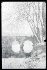 Pont-Christ.- Pont du site de Pont-Christ à La Roche-Maurice, avec arbres