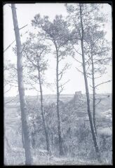 La Roche Maurice.- Ruines du château et clocher de l'église de la Roche Maurice, derrière un rideau d'arbres