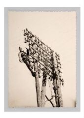 1 vue  - Photographie, Allemand sur un pylone (ouvre la visionneuse)