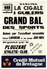 1 vue  - Grand bal des sports à Guilers (ouvre la visionneuse)