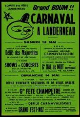 1 vue  - Carnaval à landerneau (ouvre la visionneuse)