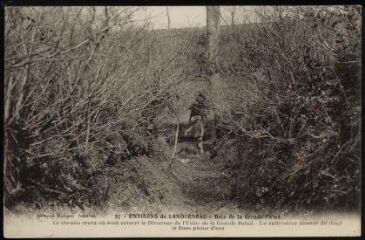 1 vue La Forêt-Landerneau. Bois de la Grande Palud, l'emplacement où a été découvert le corps de Louis Cadiou